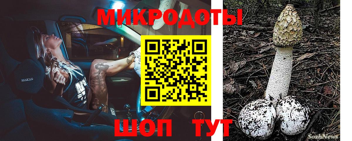 Псилоцибиновые грибы мухоморы  Псилоцибиновые грибы GOLDEN TEACHER  Норильск  Вход с VPN 